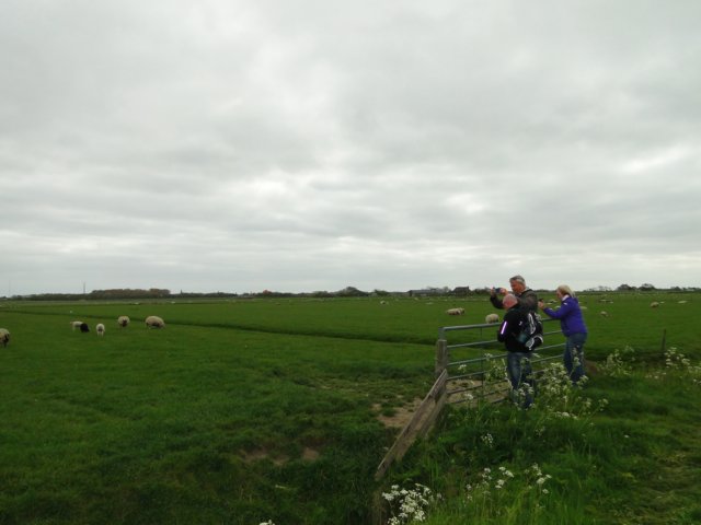 HWK Texel 128.jpg